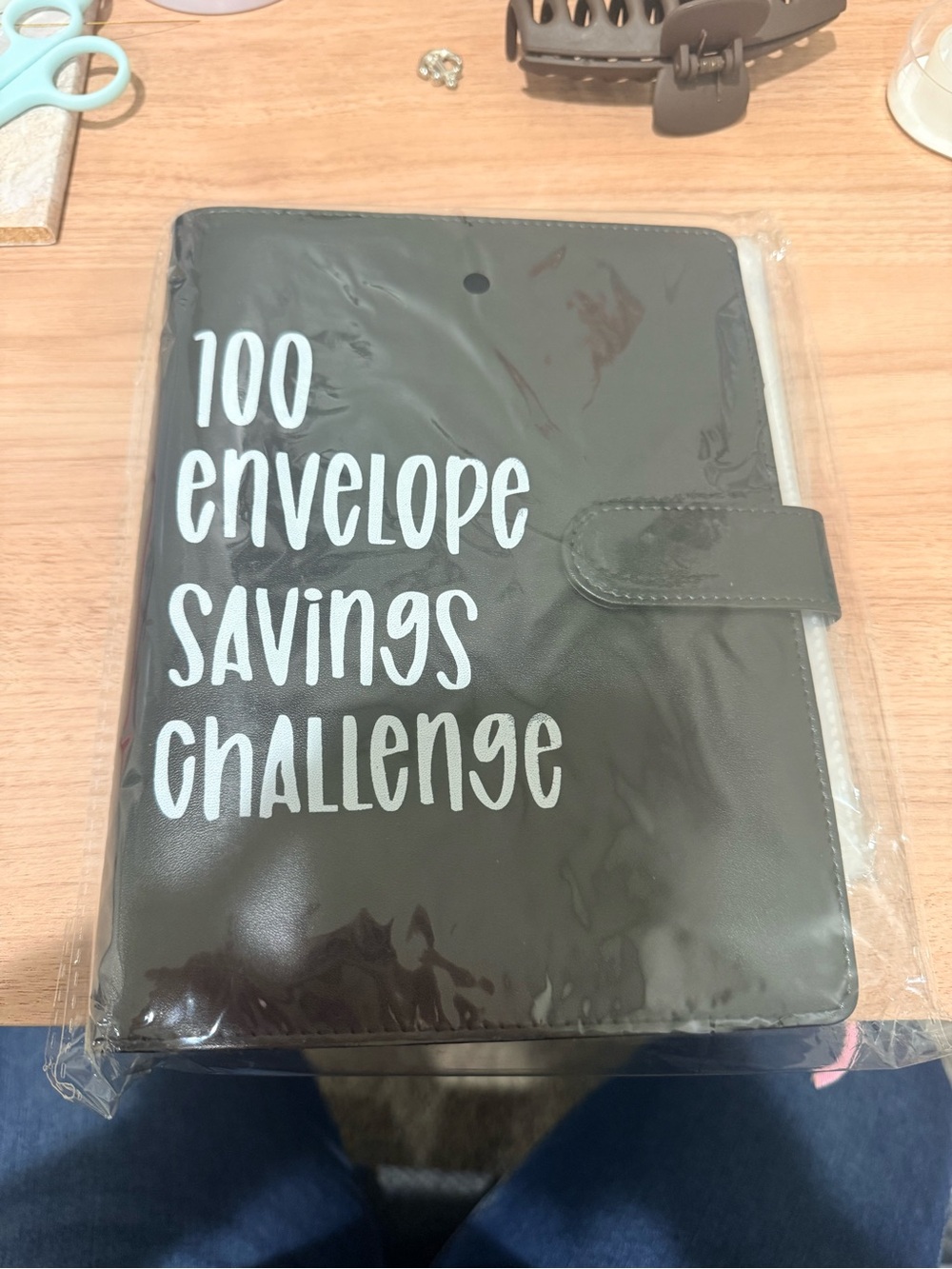 100 Envelope Savings Challenge Tablet Organizer - Black